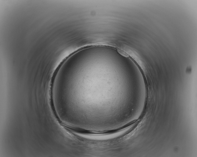 X0000094371093200711091532