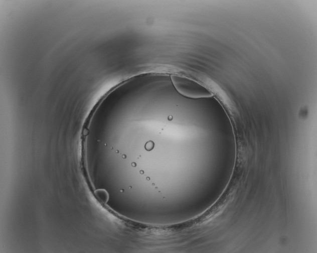 X0000094371095200711091532