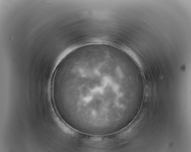 X0000094371098200711091532