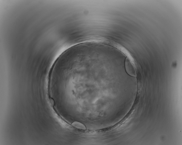 X0000094371099200711091532