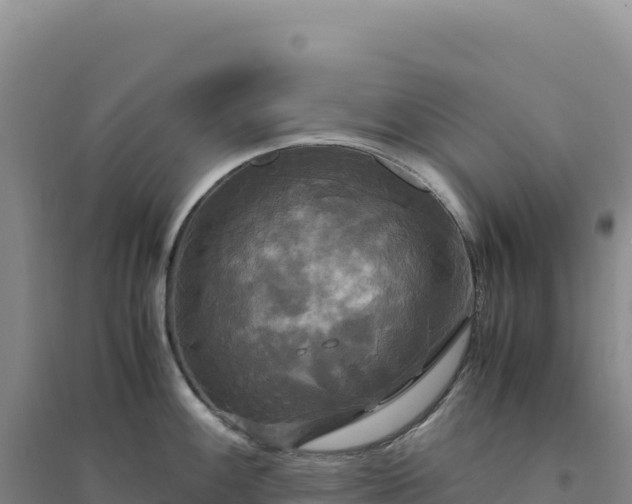 X0000094371100200711091532