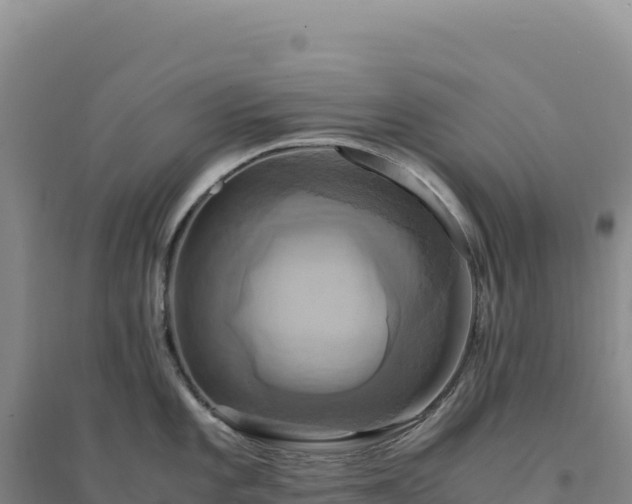 X0000094371101200711091532