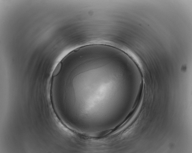 X0000094371102200711091532