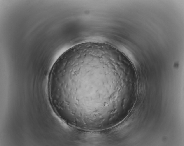 X0000094371103200711091532