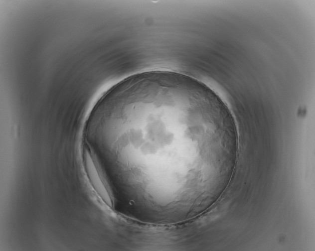 X0000094371104200711091532