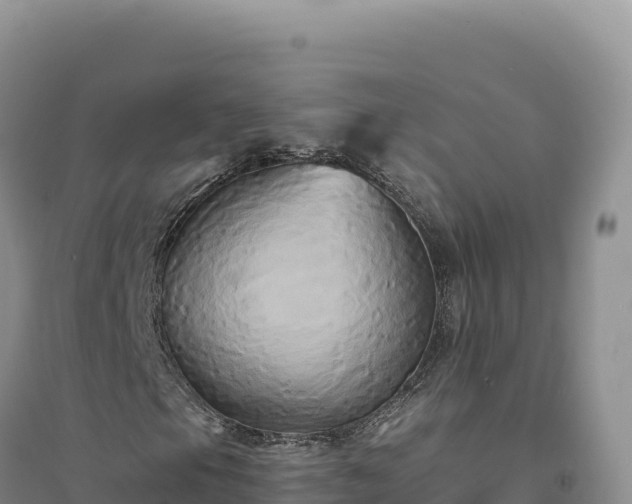 X0000094371105200711091531