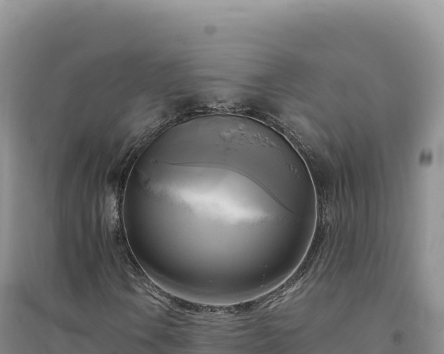 X0000094371106200711091531