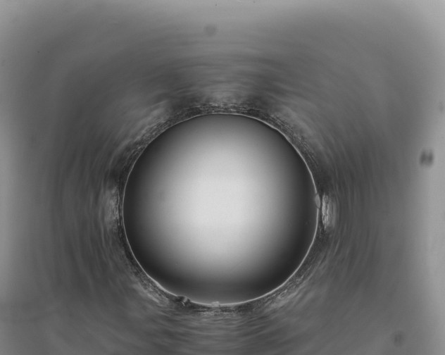 X0000094371107200711091531