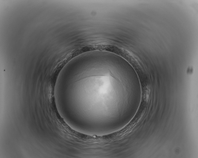X0000094371108200711091531