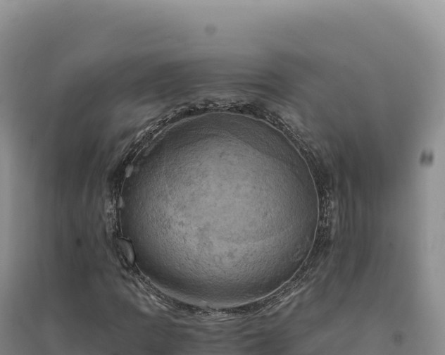 X0000094371109200711091531