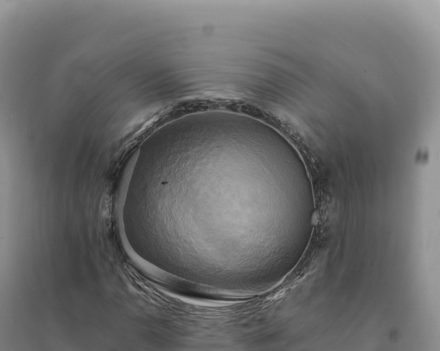 X0000094371110200711091531