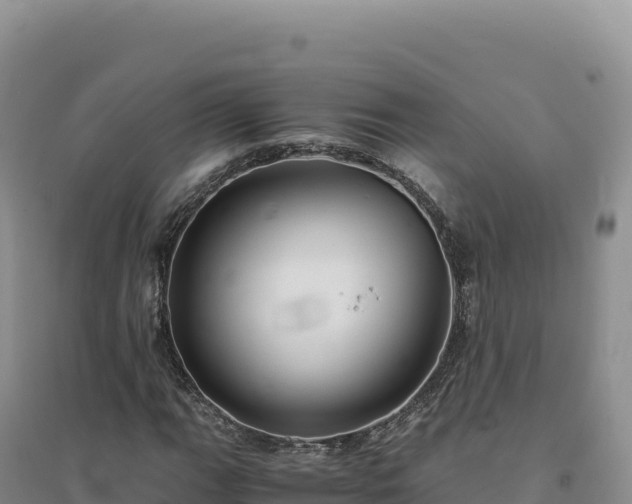 X0000094371111200711091531