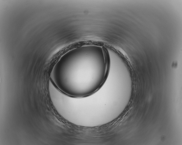 X0000094371112200711091531