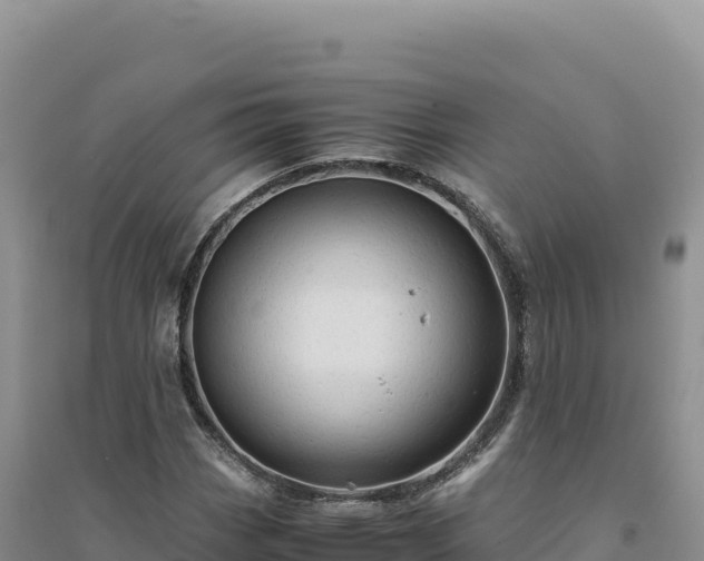 X0000094371113200711091531