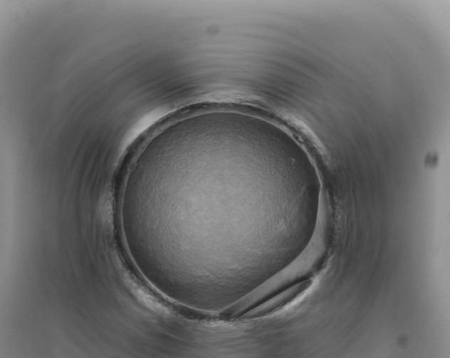 X0000094371114200711091531