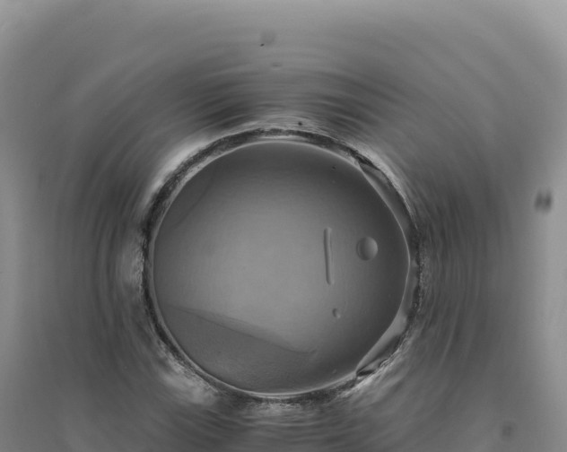 X0000094371115200711091531
