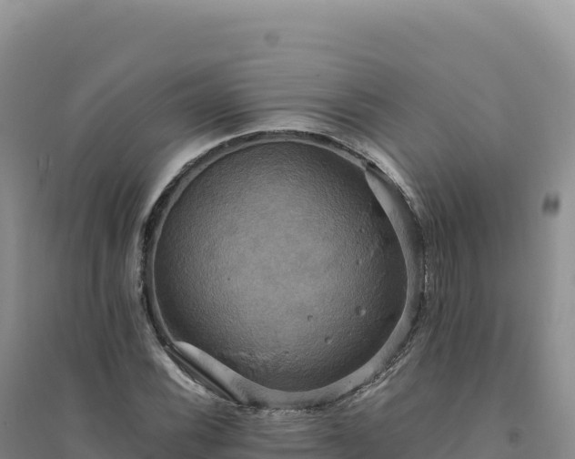 X0000094371116200711091531