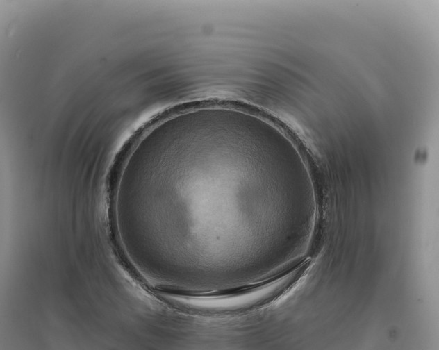 X0000094371118200711091531