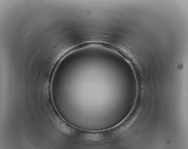 X0000094371121200711091531