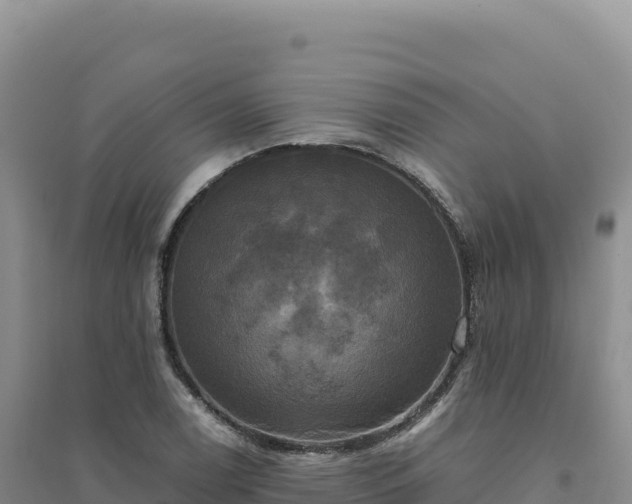 X0000094371122200711091531