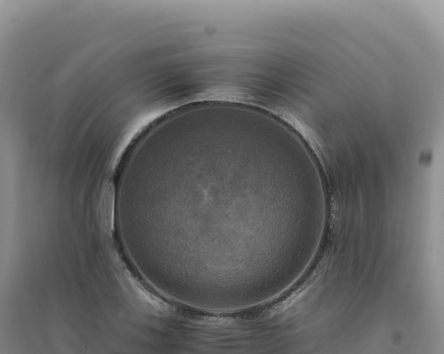 X0000094371123200711091531