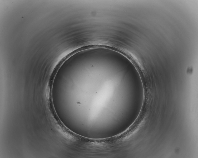 X0000094371125200711091531
