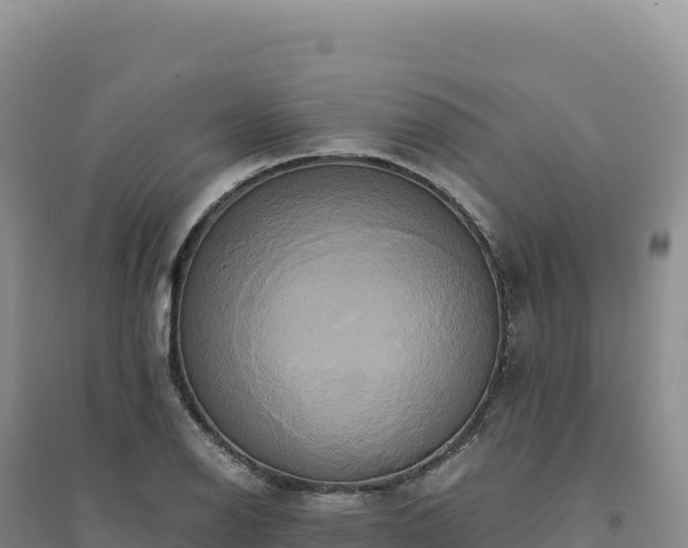 X0000094371126200711091531
