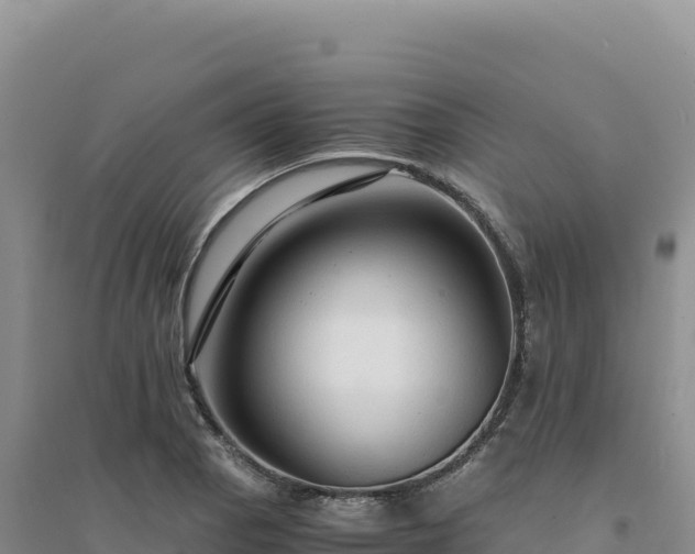 X0000094371129200711091531