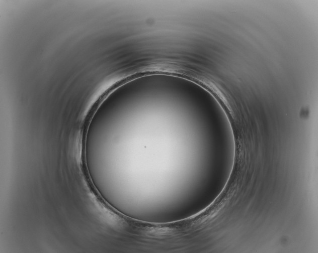 X0000094371131200711091531