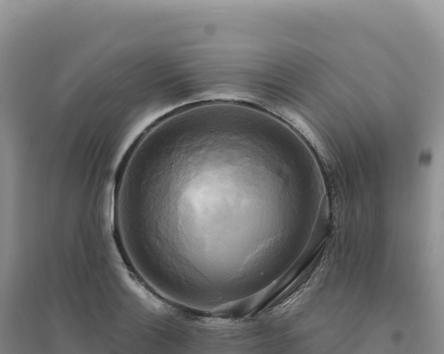 X0000094371132200711091531