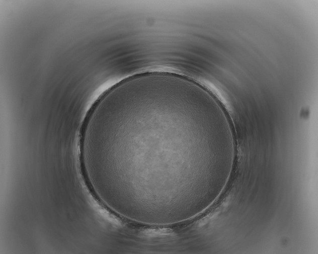 X0000094371133200711091531
