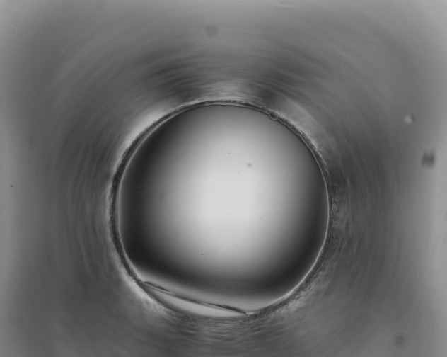 X0000094371135200711091531