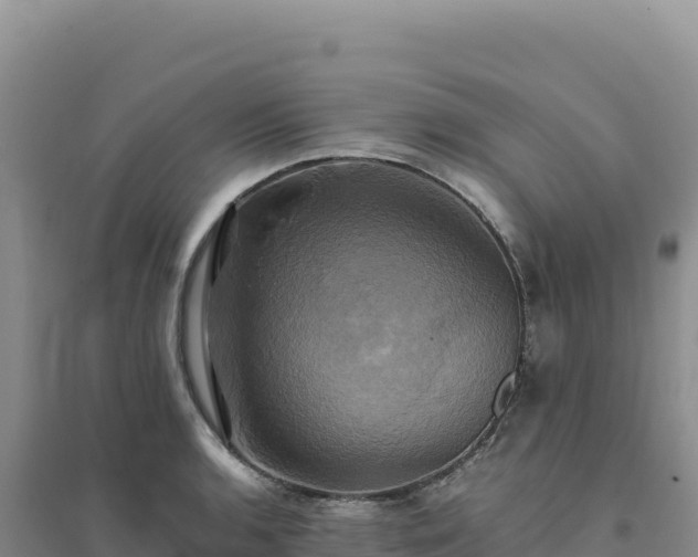 X0000094371136200711091532