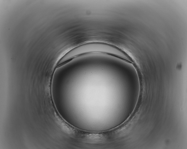 X0000094371137200711091532