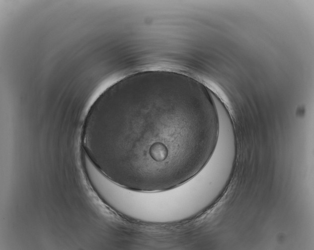 X0000094371138200711091532
