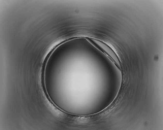 X0000094371139200711091532
