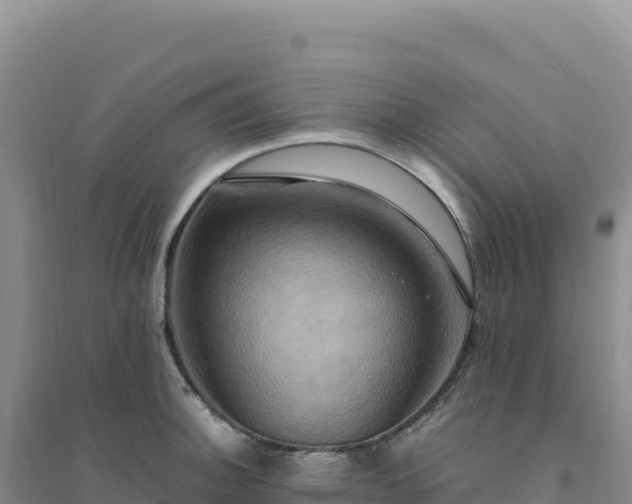 X0000094371140200711091532