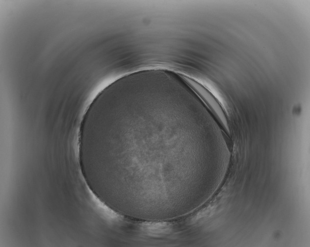 X0000094371143200711091532