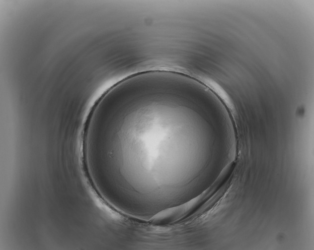 X0000094371144200711091532