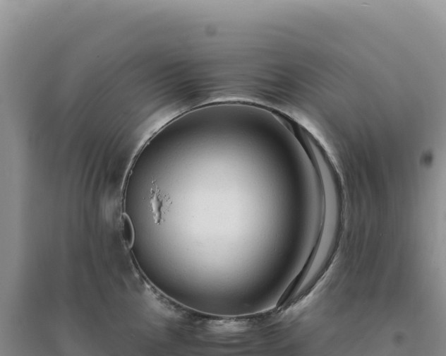 X0000094371145200711091532