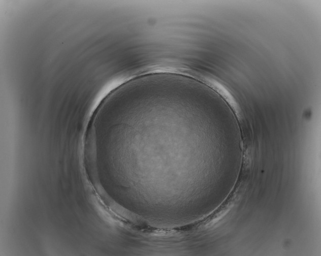 X0000094371146200711091532