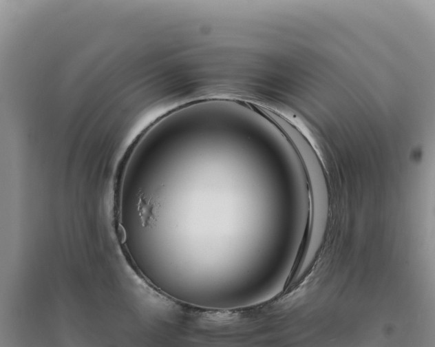 X0000094371147200711091532
