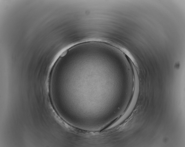 X0000094371148200711091532