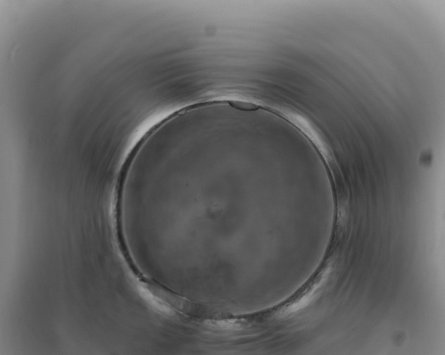 X0000094371149200711091532