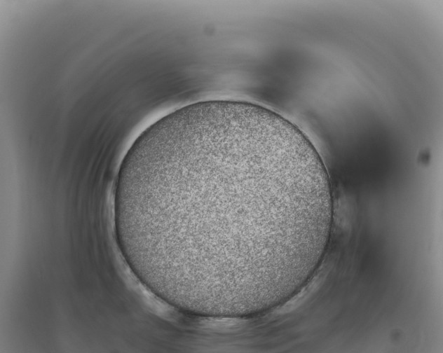 X0000094371150200711091532