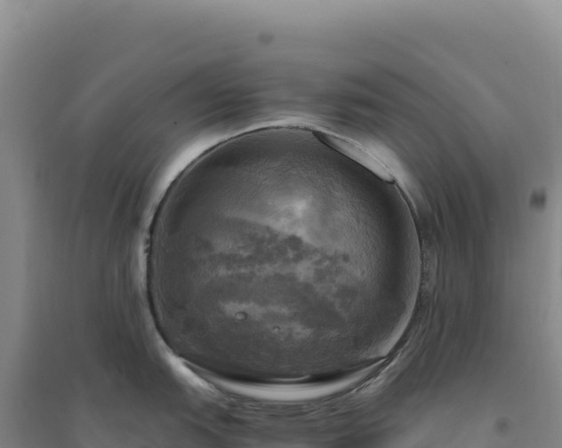 X0000094371151200711091532