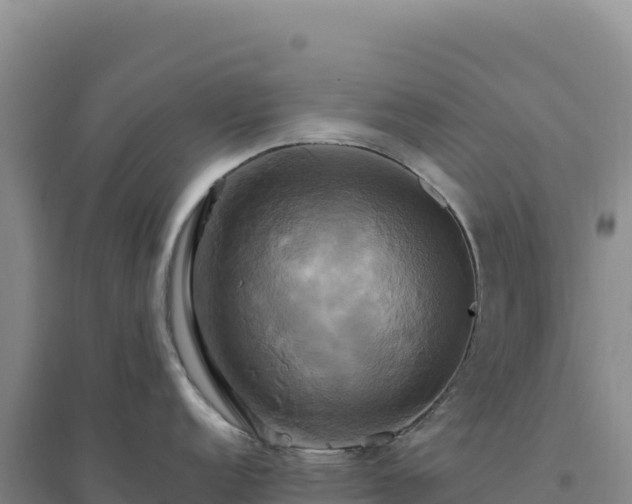 X0000094371152200711091532