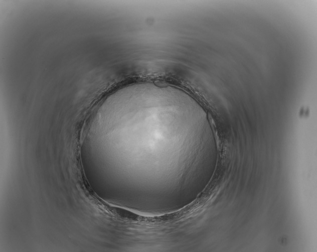 X0000094371153200711091531