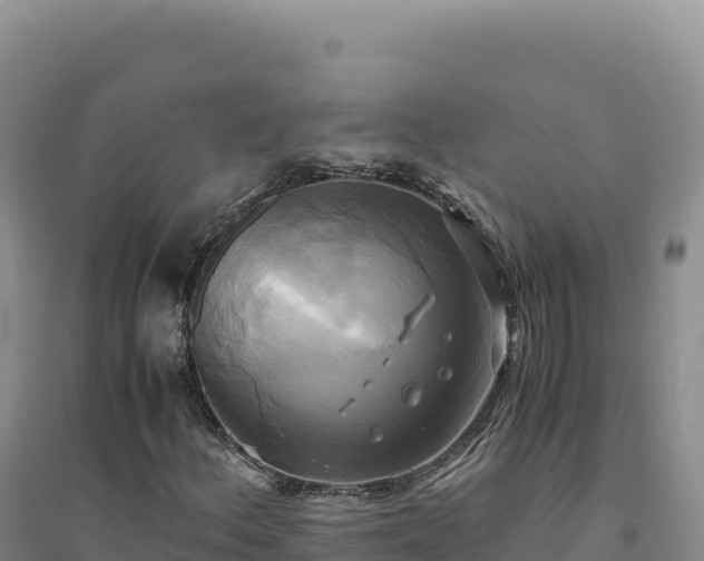 X0000094371156200711091531