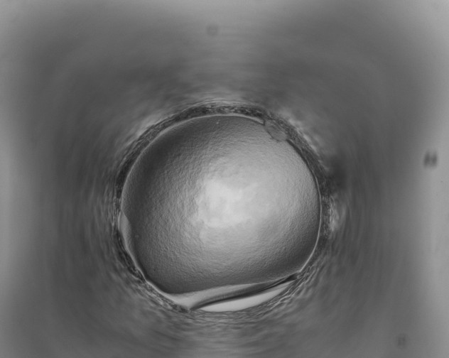 X0000094371157200711091531